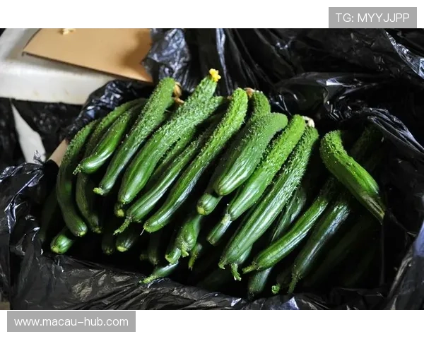 永乐高国际娱乐热门游戏排行榜推荐满足不同玩家的多样化娱乐需求